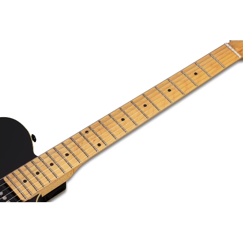 Электрогитара SCHECTER PT M/M - электрогитара 6-струнная, BLK
