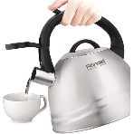 Чайник металлический Rondell Zart RDS-1828 2.7л. стальной