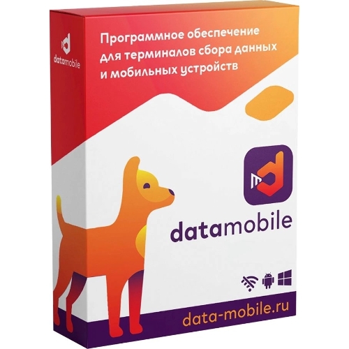 Программное обеспечение Неискл. право на исп-ие DataMobile версия Стандарт подп.1г. (DM12M)